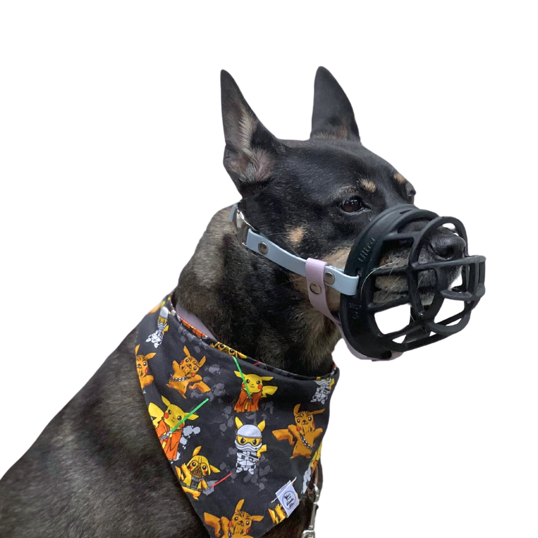 Custom Muzzle Strap