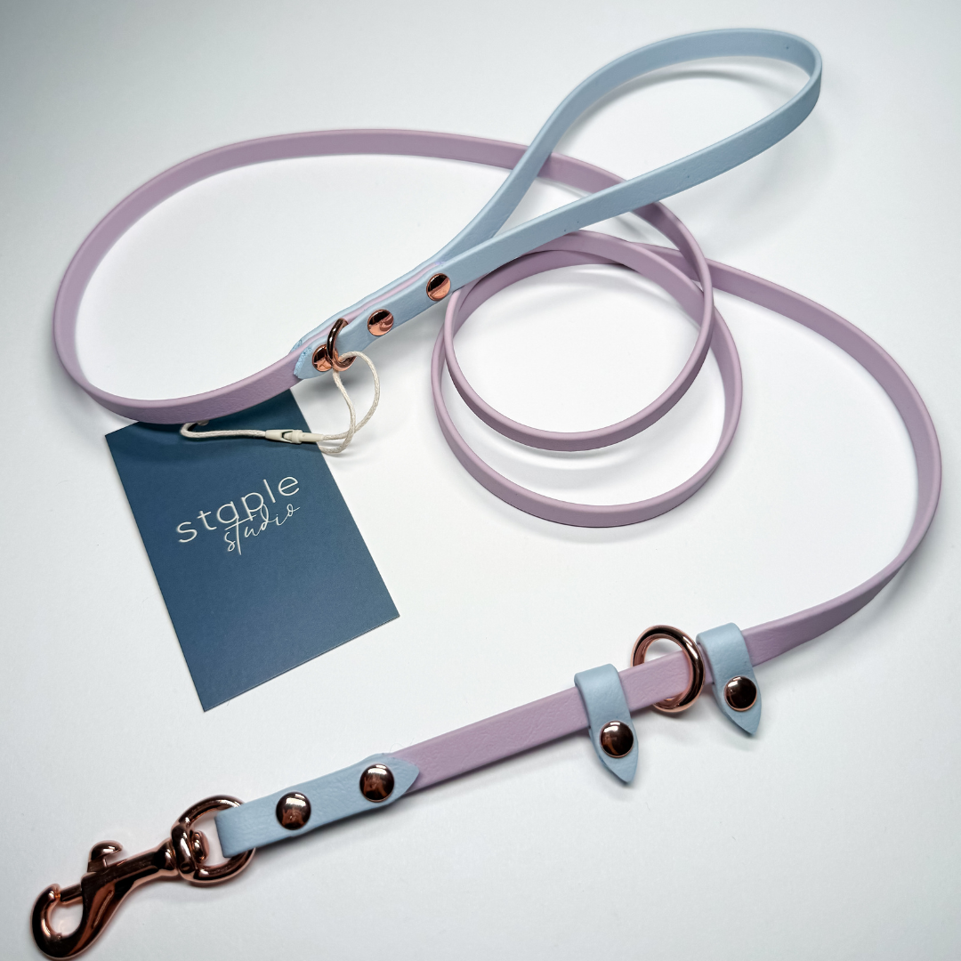 Explore | 1.5m Classic & Slip Leash (Grab & Go)