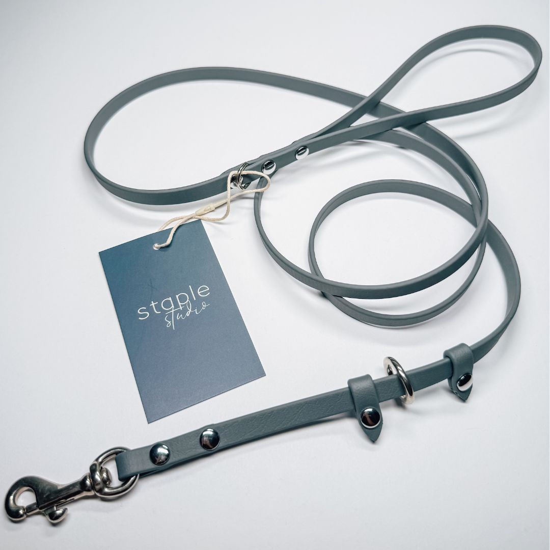 Explore | 1.5m Classic & Slip Leash (Grab & Go)