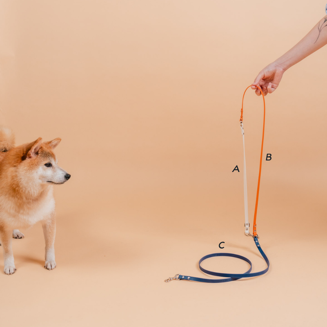 Flexi | Hands-Free Leash