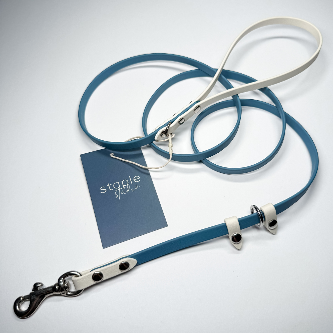 Explore | 1.5m Classic & Slip Leash (Grab & Go)
