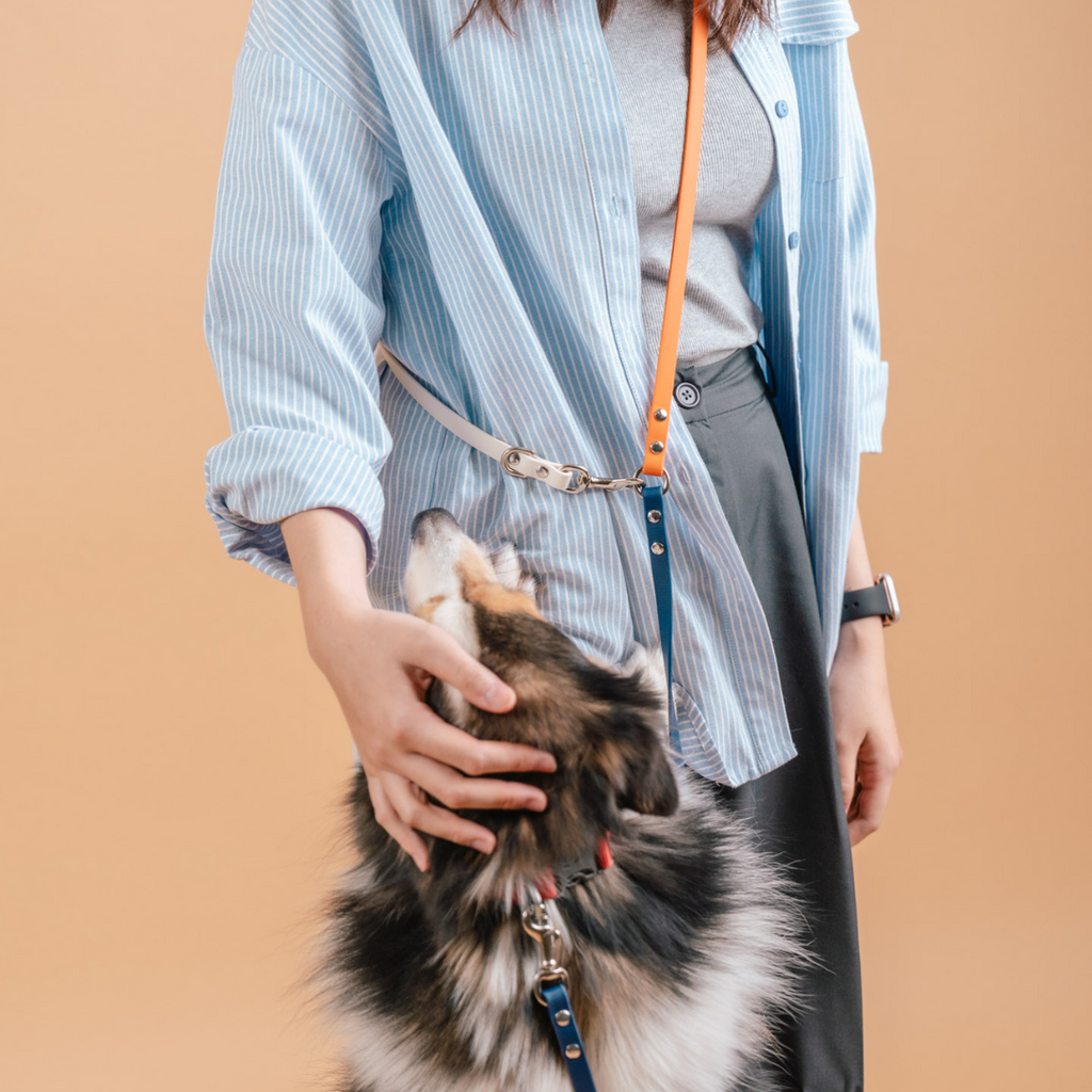 Flexi | Hands-Free Leash