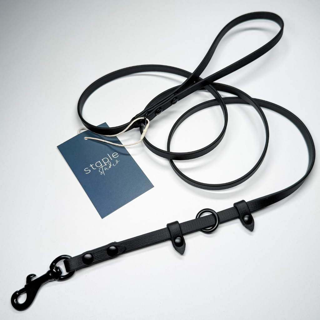 Explore | 1.5m Classic & Slip Leash (Grab & Go)