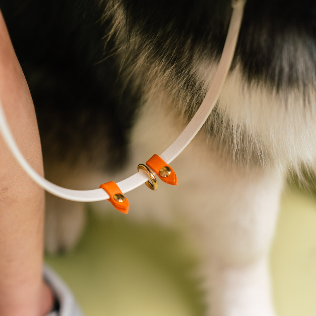 Everyday | Hands-Free Leash