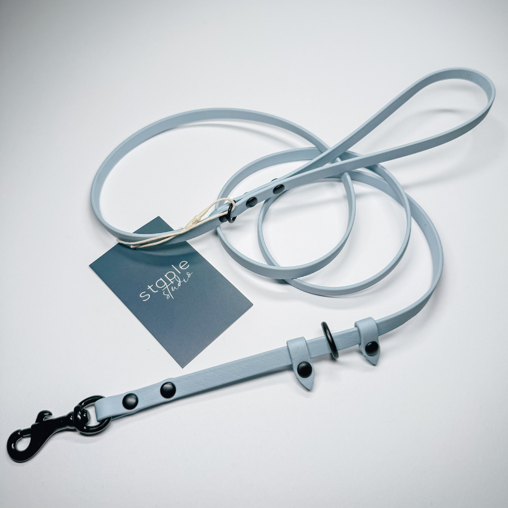 Explore | 1.5m Classic & Slip Leash (Grab & Go)
