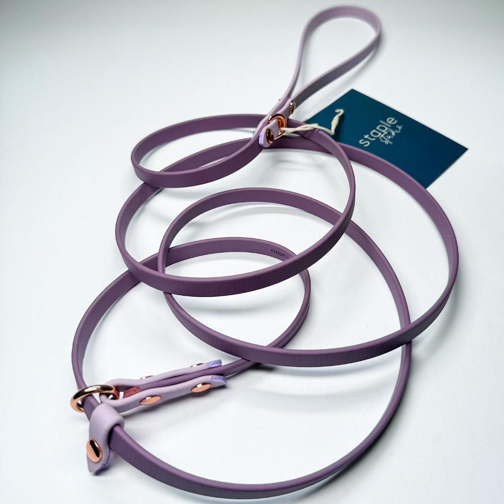 Journey | 1.8m Fixed Slip Leash (Grab & Go)