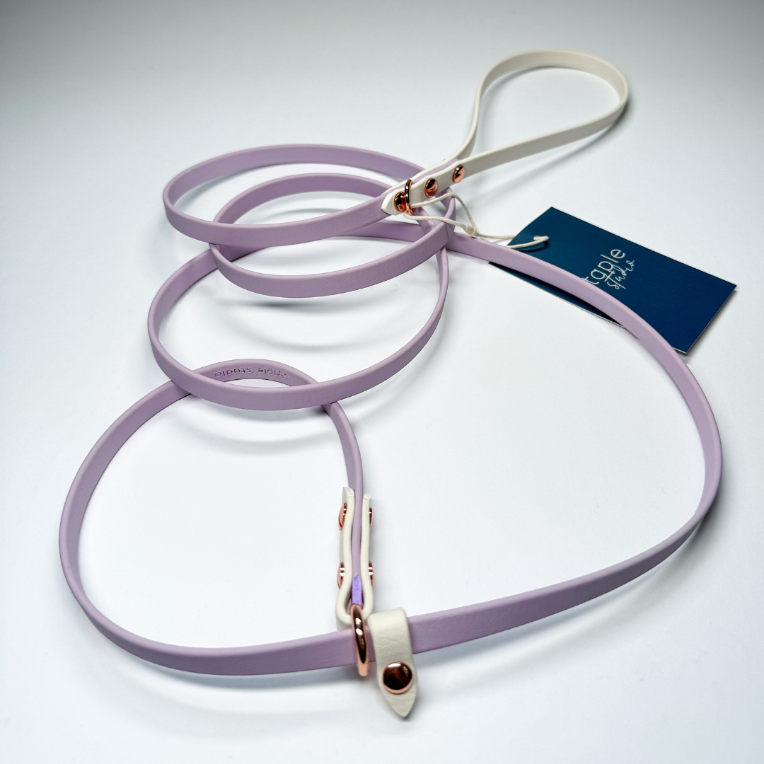 Journey | 1.8m Fixed Slip Leash (Grab & Go)
