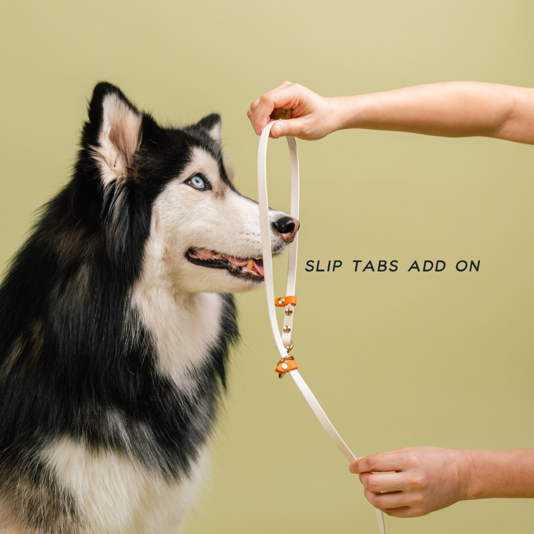 Flexi | Hands-Free Leash