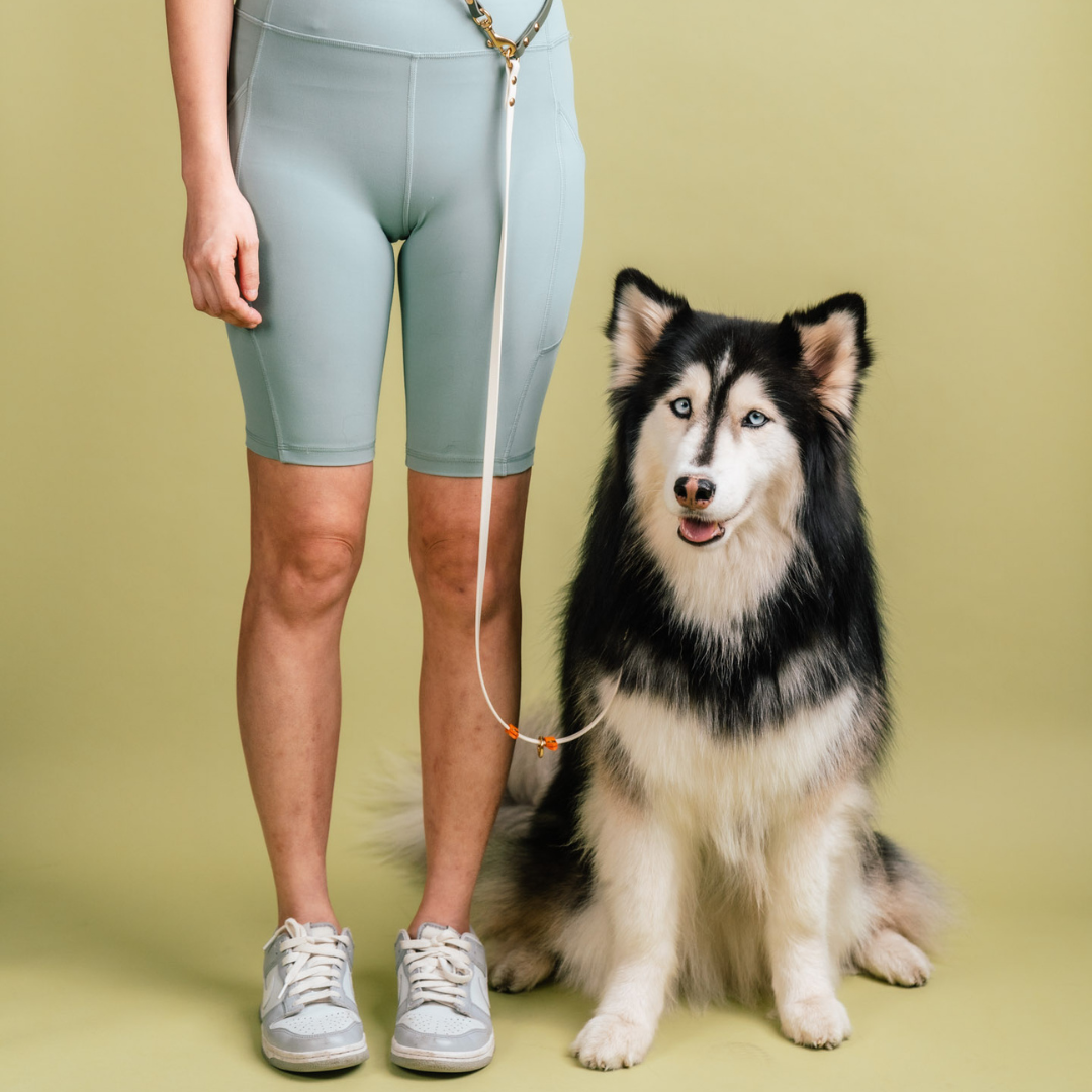 Flexi | Hands-Free Leash