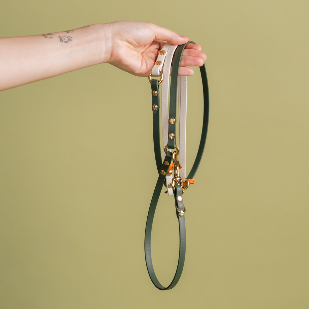 Flexi | Hands-Free Leash