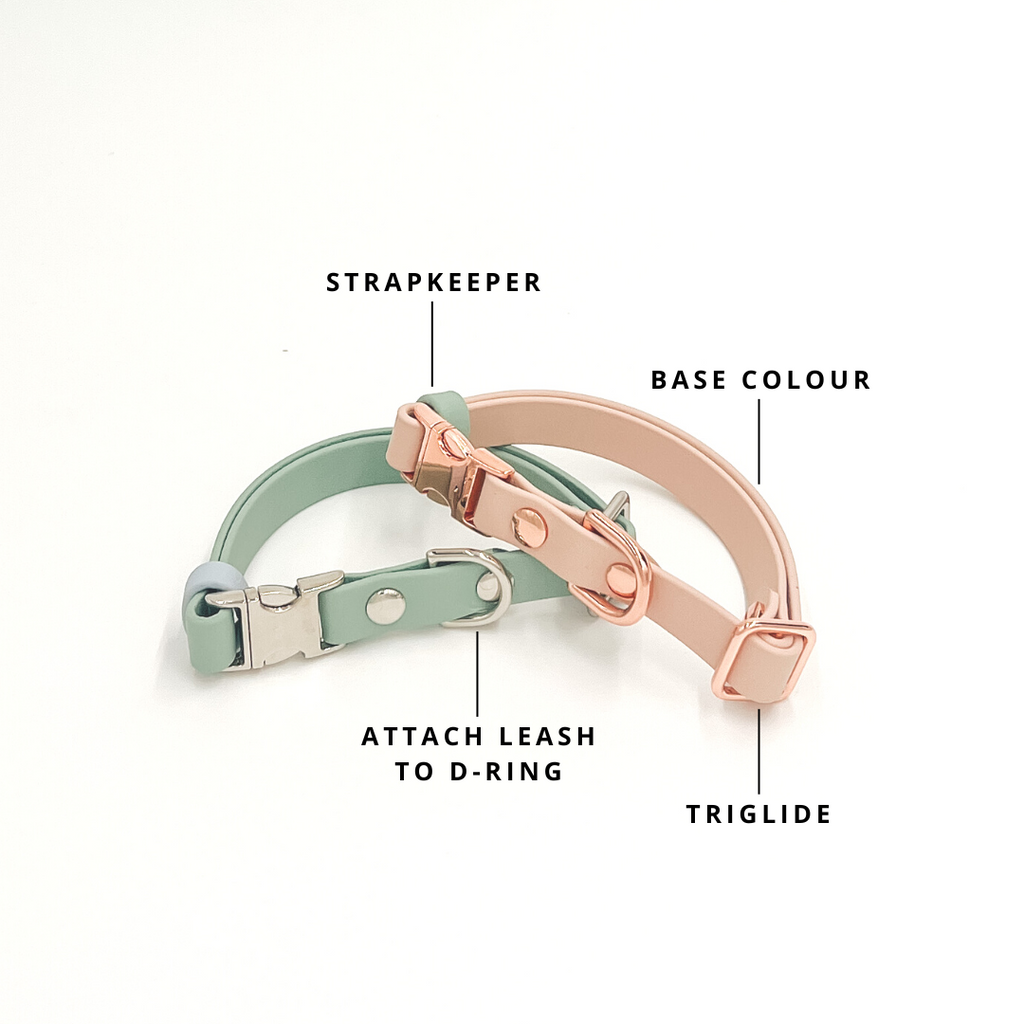 Trail | Quick Release Collar