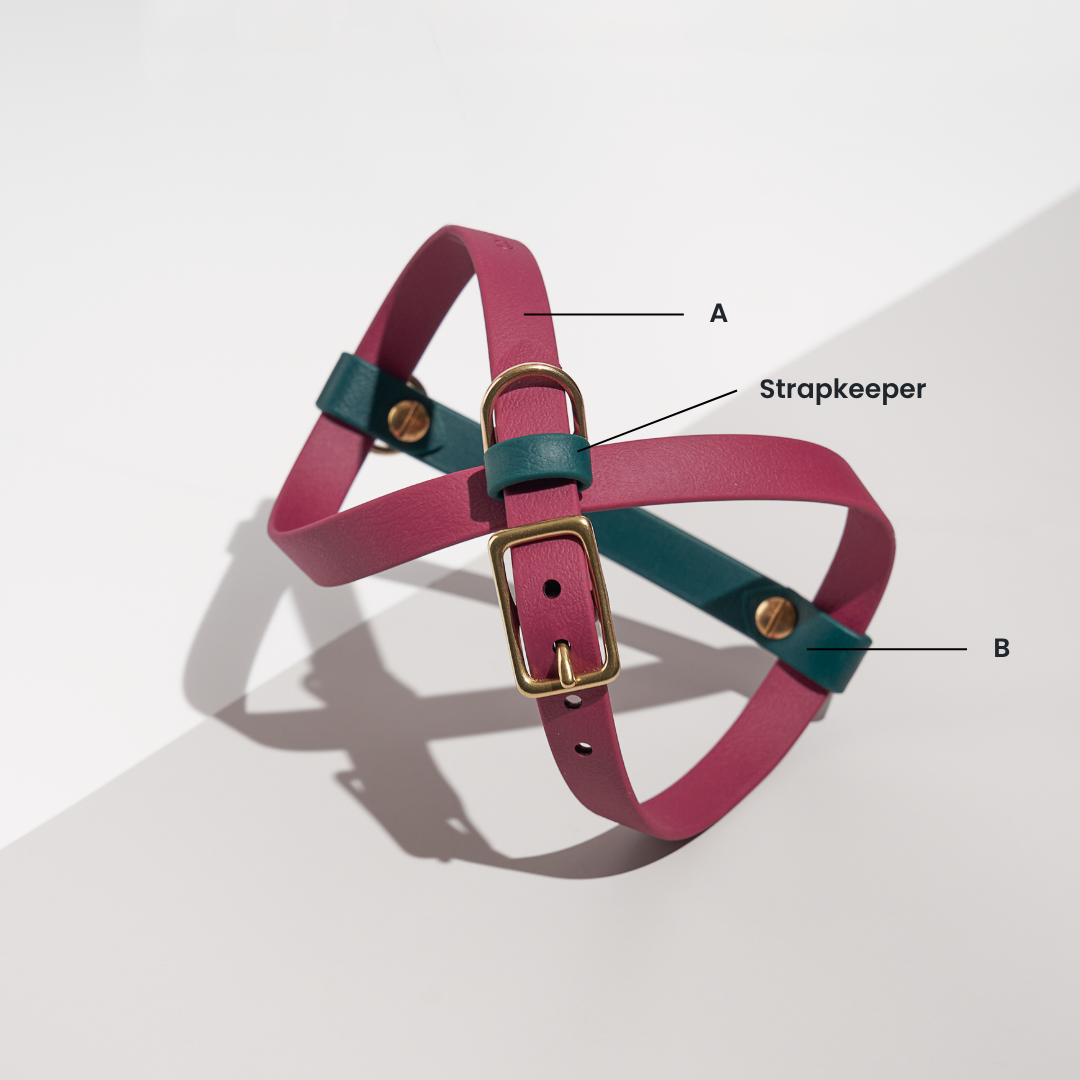 Wayfarer | Figure of Eight Harness