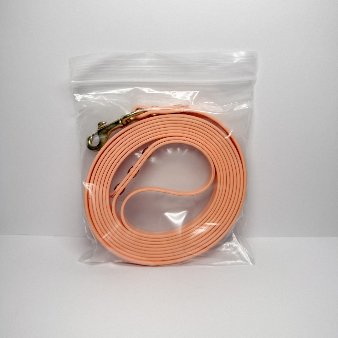 Training Leash (300cm with Handle)