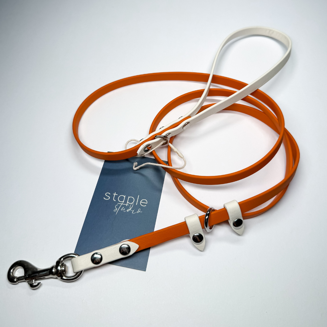 Explore | 1.5m Classic & Slip Leash (Grab & Go)