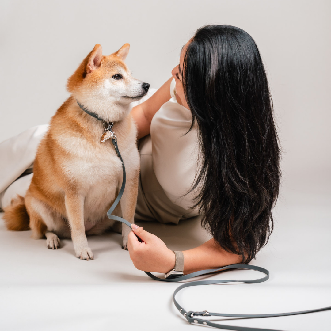 Everyday | Hands-Free Leash