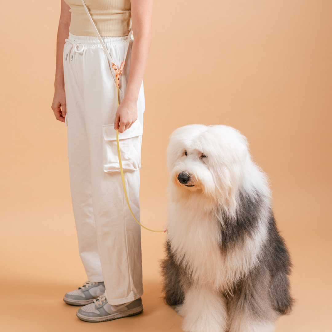 Everyday | Hands-Free Leash