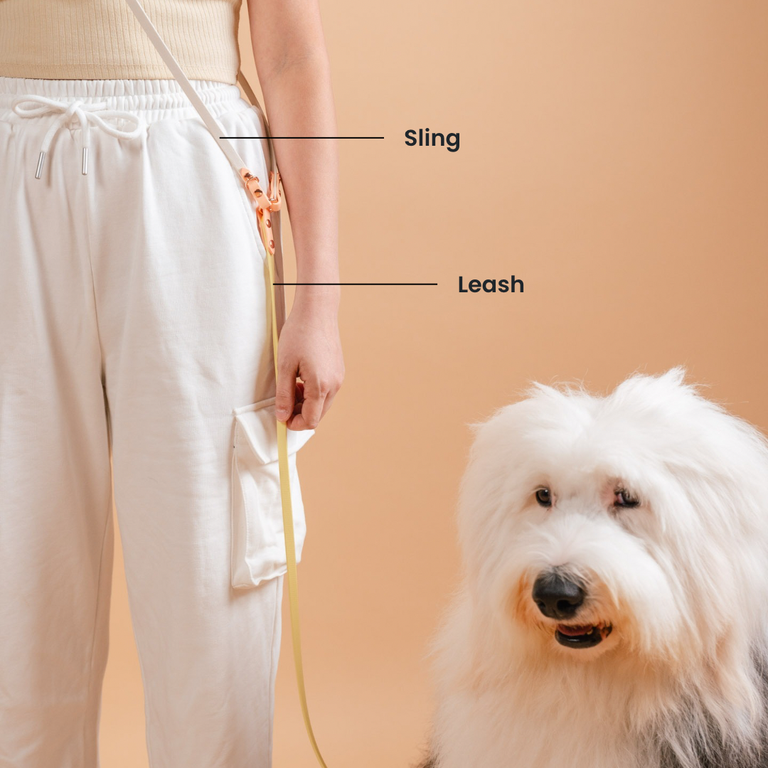 Everyday | Hands-Free Leash