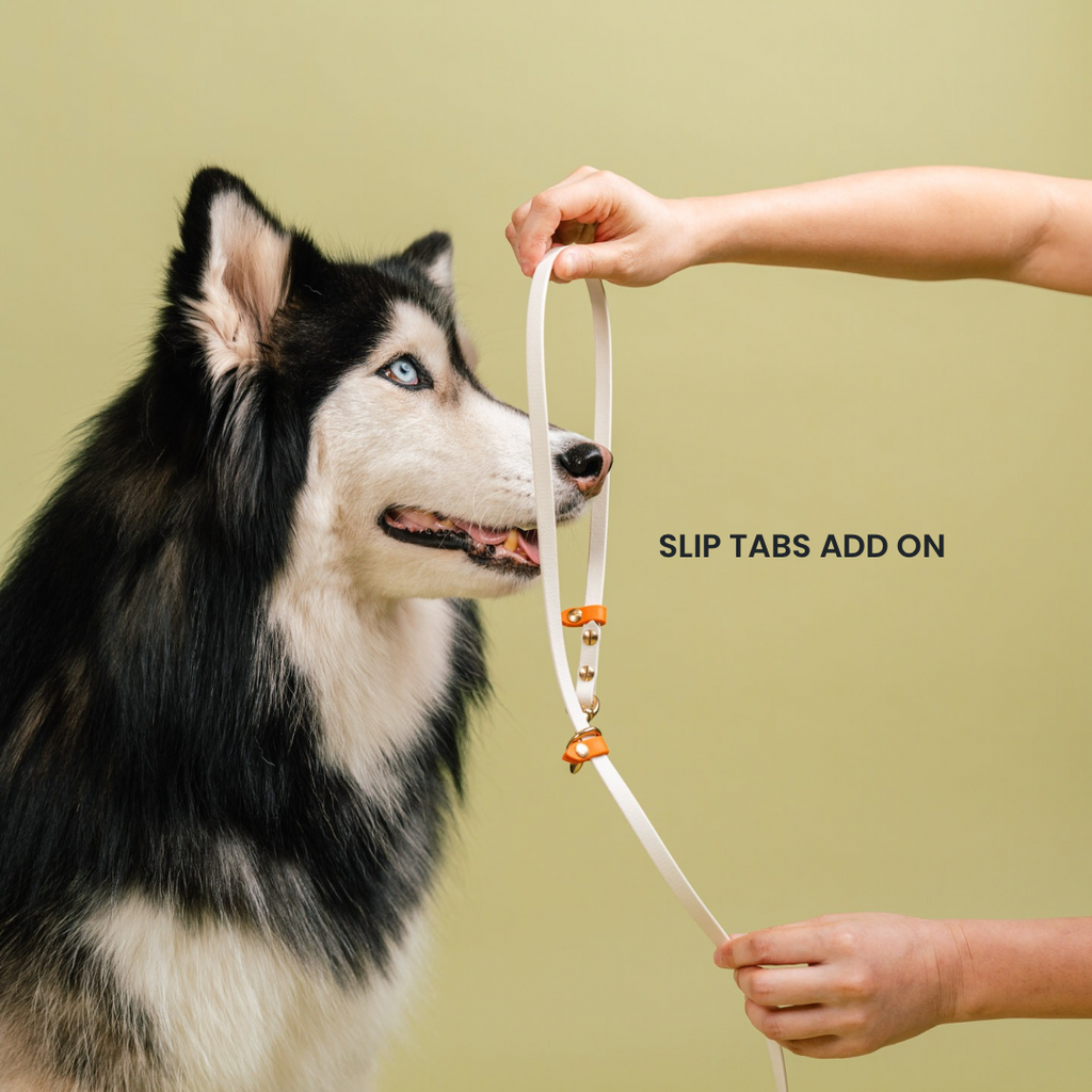 Everyday | Hands-Free Leash
