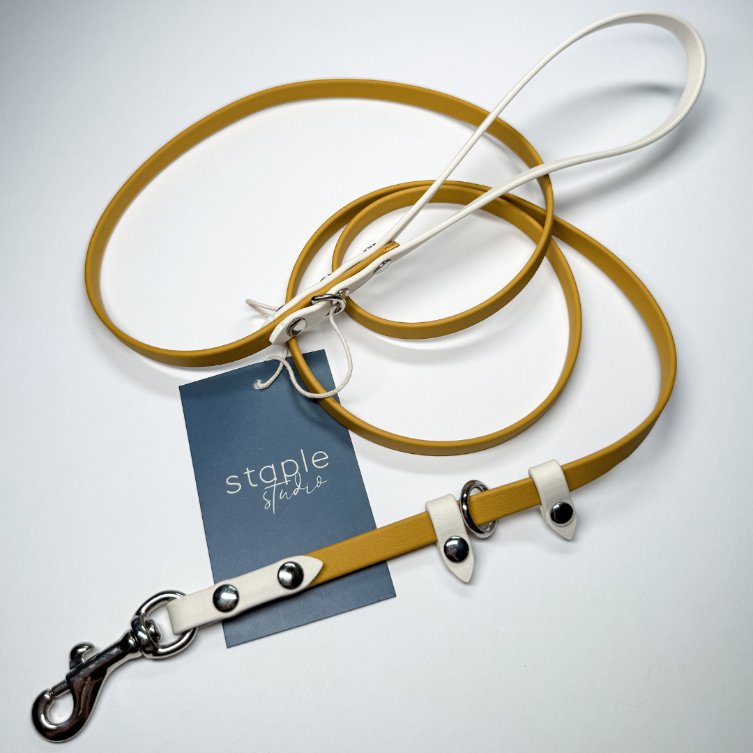 Explore | 1.5m Classic & Slip Leash (Grab & Go)