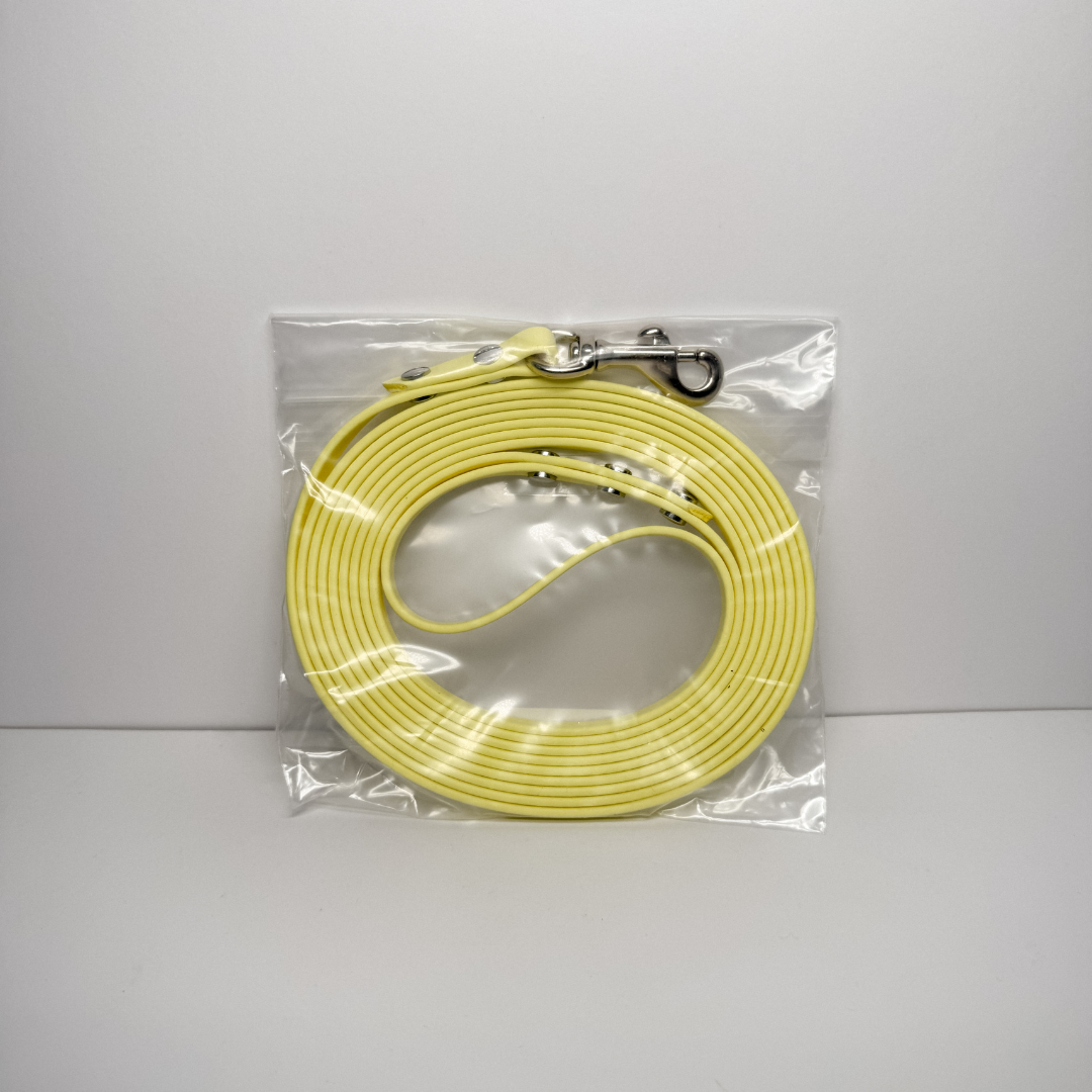 Training Leash (300cm with Handle)