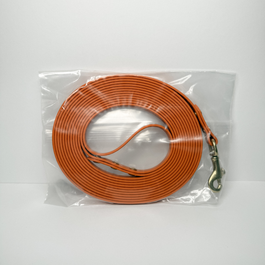 Training Leash (450cm with Handle)
