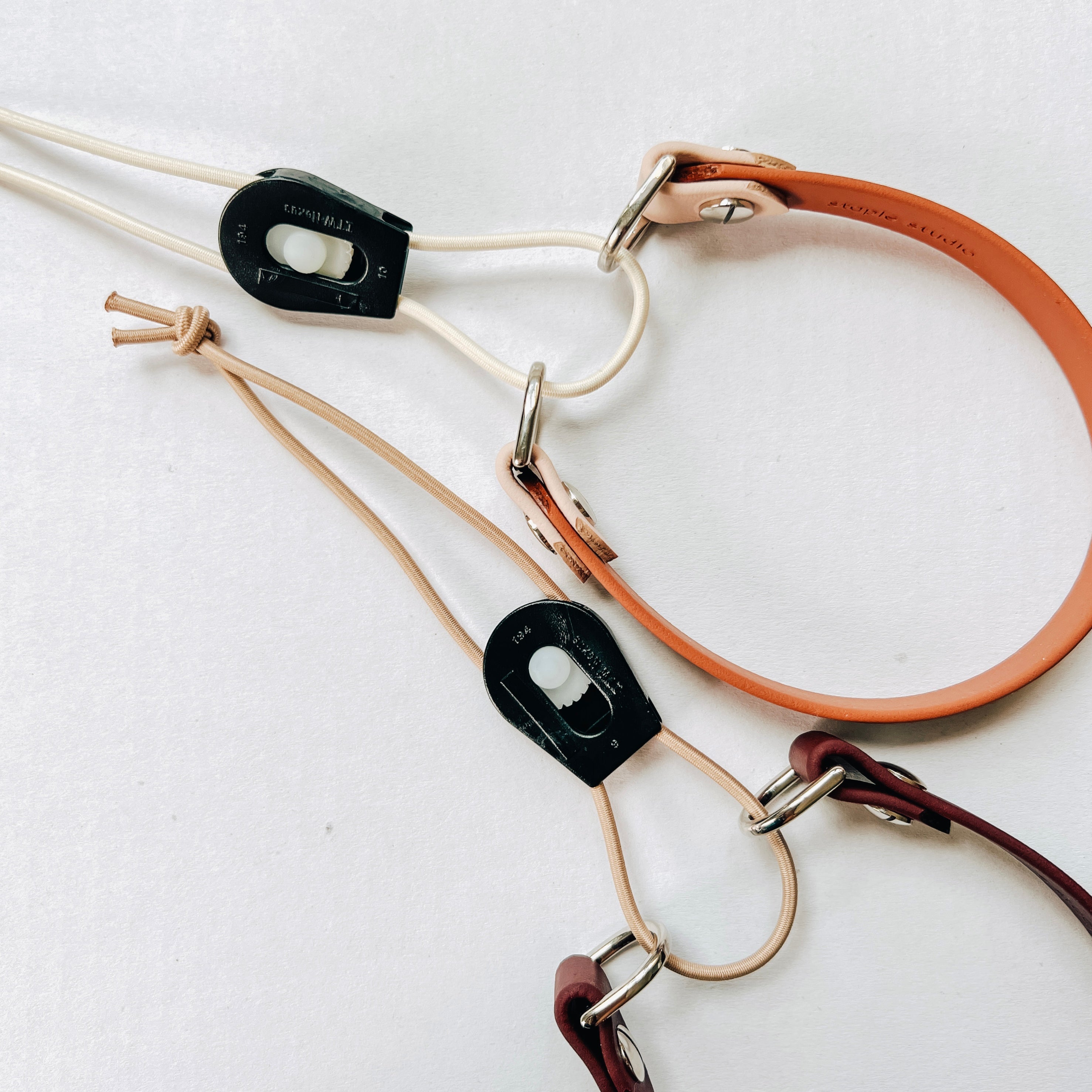 5FT Mini Slip Leash & Bungee Collar Set