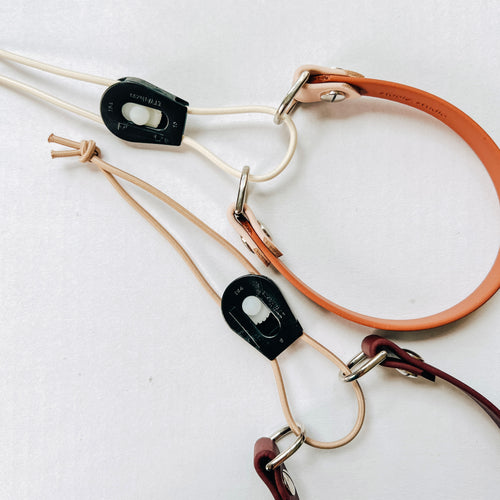 Bungee Electronic Collar Strap