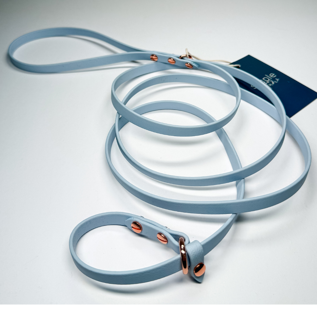Journey | 1.8m Fixed Slip Leash (Grab & Go)