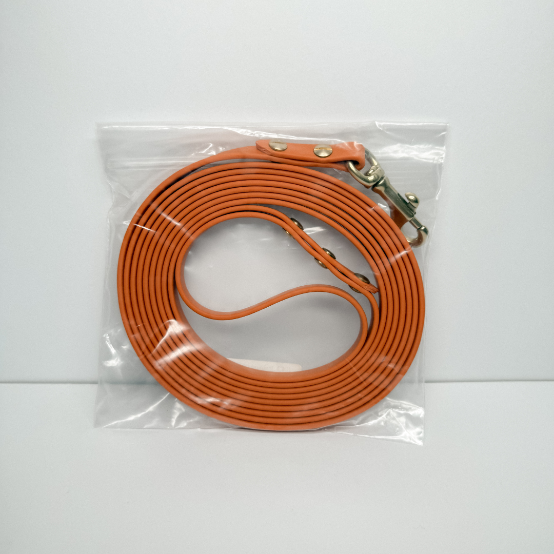 Training Leash (300cm with Handle)