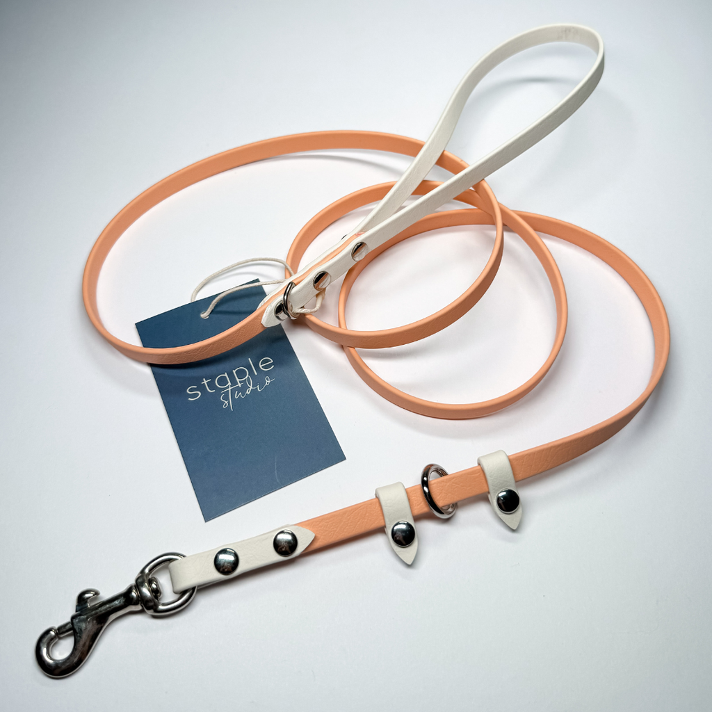 Explore | 1.5m Classic & Slip Leash (Grab & Go)