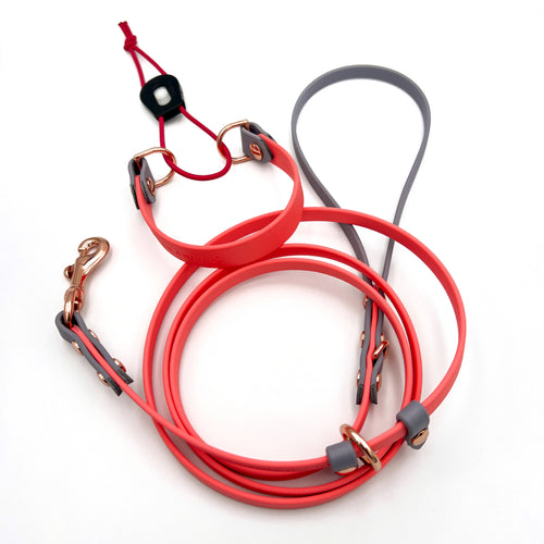 5FT Mini Slip Leash & Bungee Collar Set