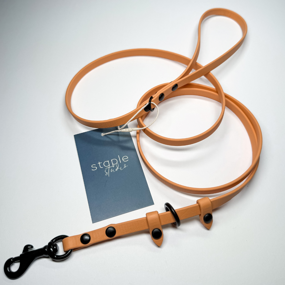 Explore | 1.5m Classic & Slip Leash (Grab & Go)