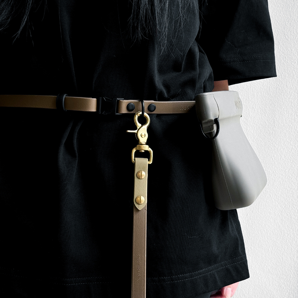 Everyday Belt