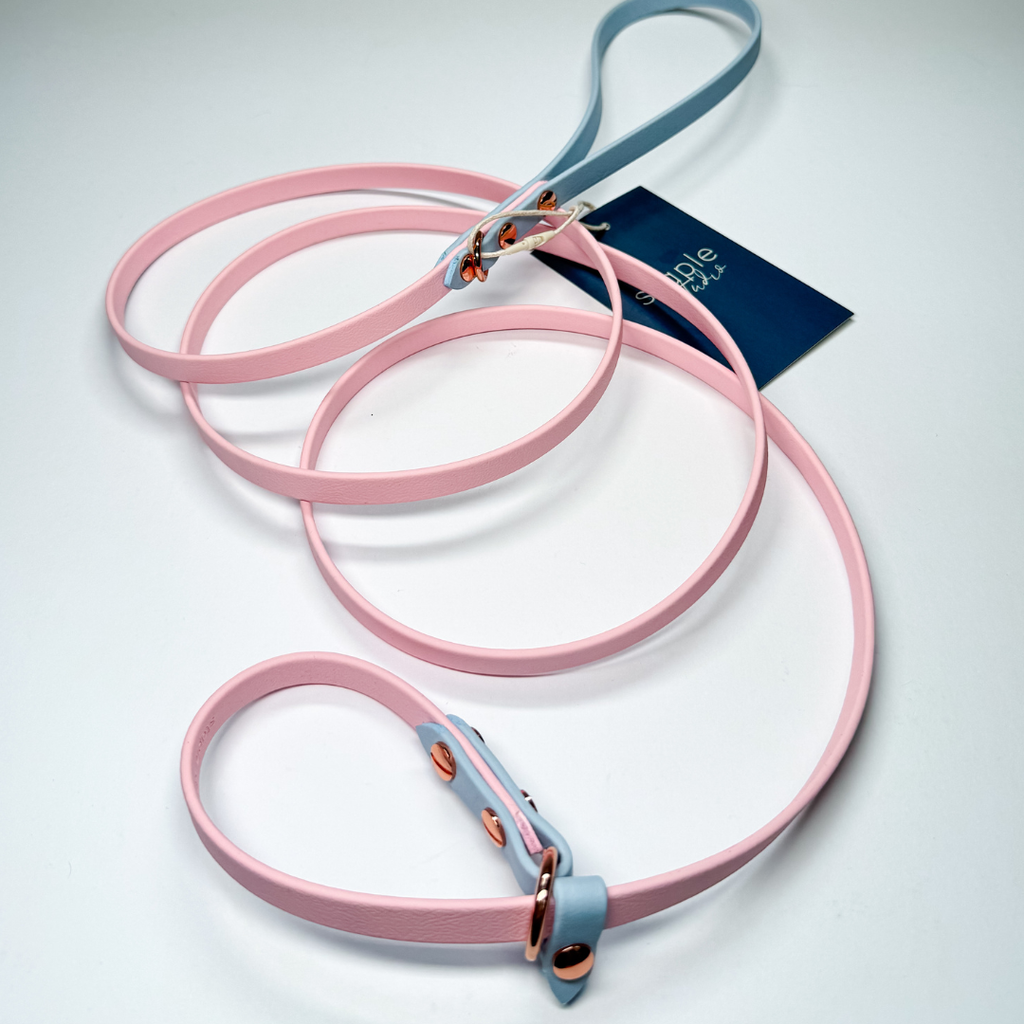 Journey | 1.8m Fixed Slip Leash (Grab & Go)