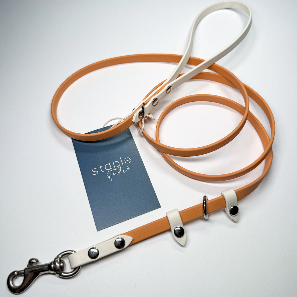 Explore | 1.5m Classic & Slip Leash (Grab & Go)