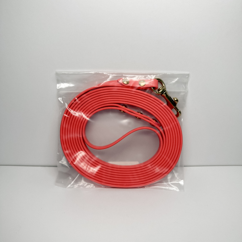 Training Leash (300cm with Handle)