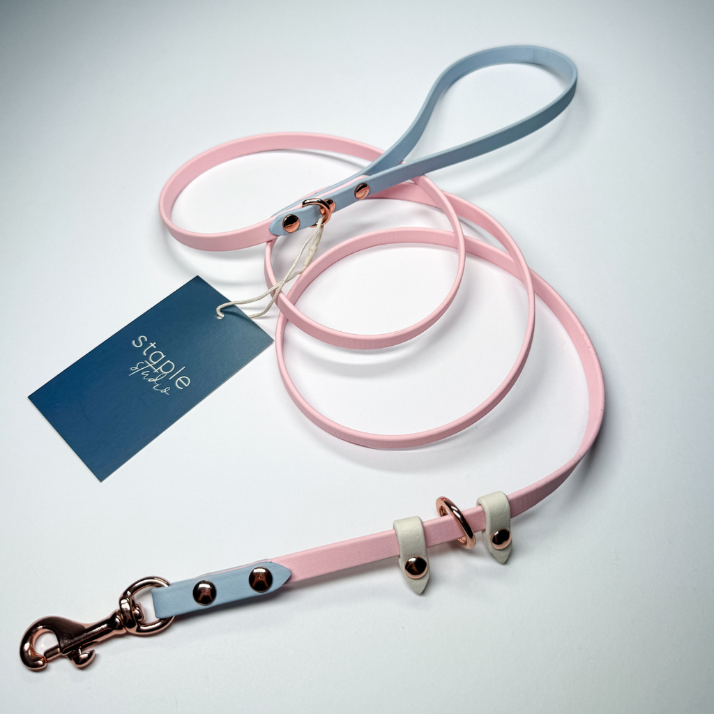 Explore | 1.5m Classic & Slip Leash (Grab & Go)