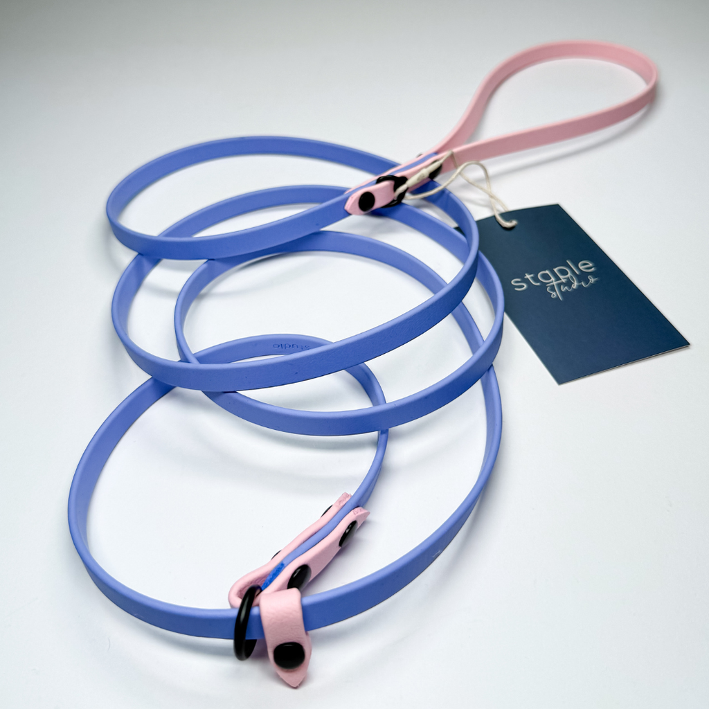 Journey | 1.8m Fixed Slip Leash (Grab & Go)