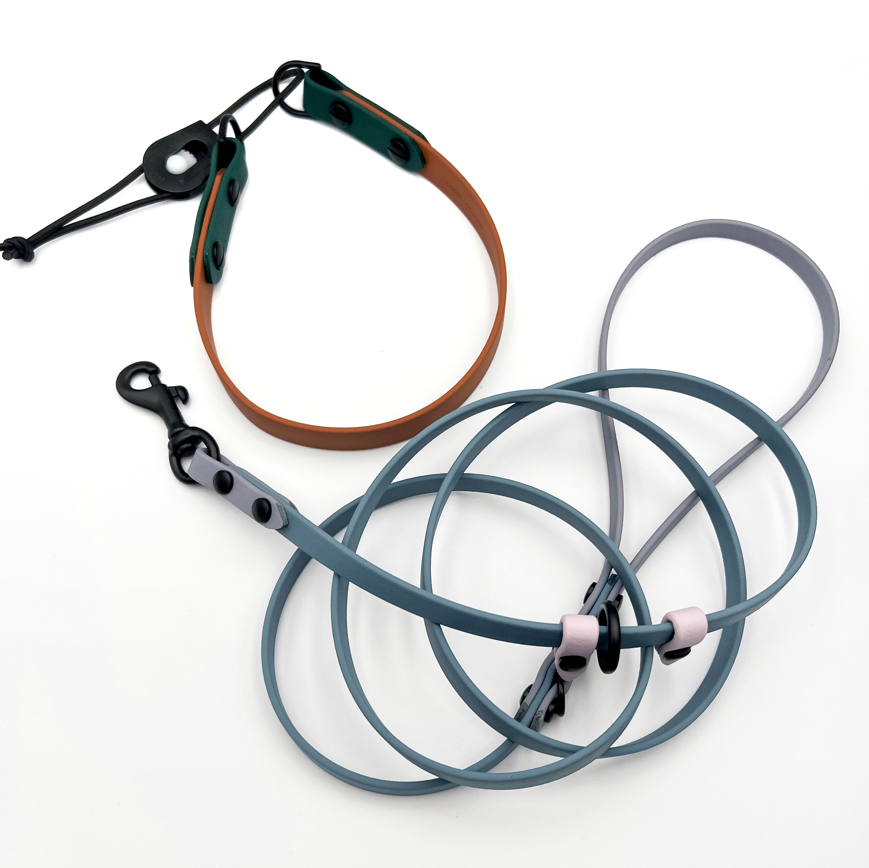 5FT Mini Slip Leash & Bungee Collar Set
