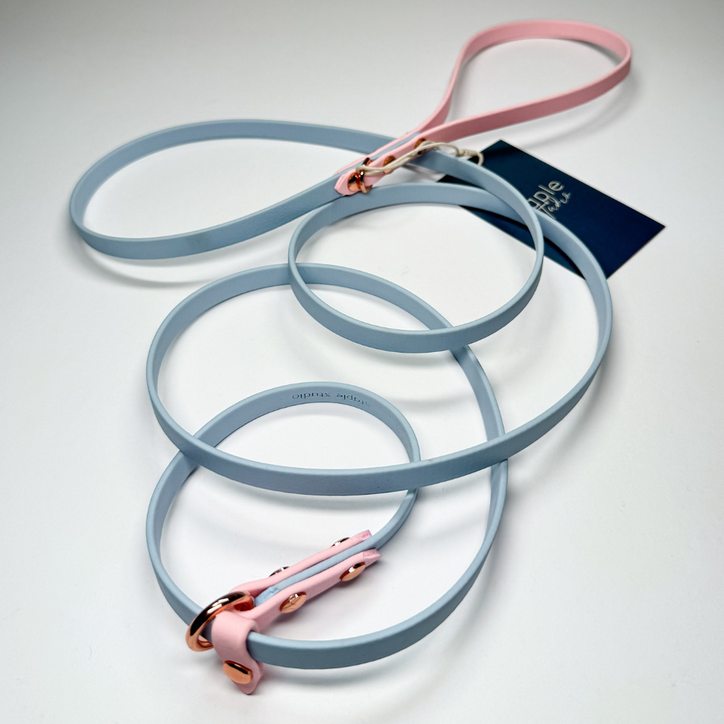Journey | 1.8m Fixed Slip Leash (Grab & Go)