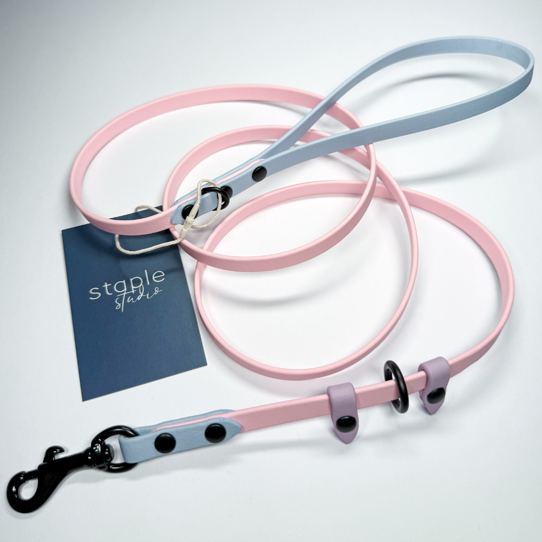 Explore | 1.5m Classic & Slip Leash (Grab & Go)