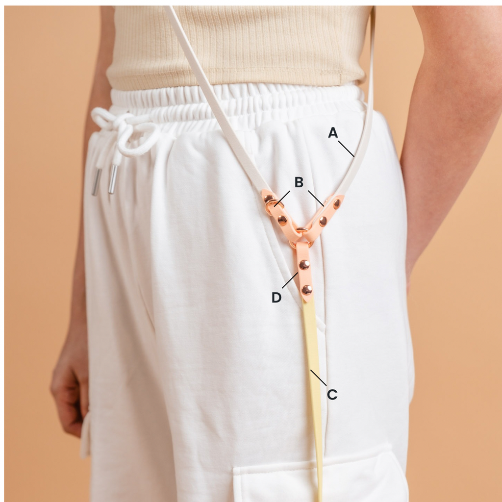 Everyday | Hands-Free Leash