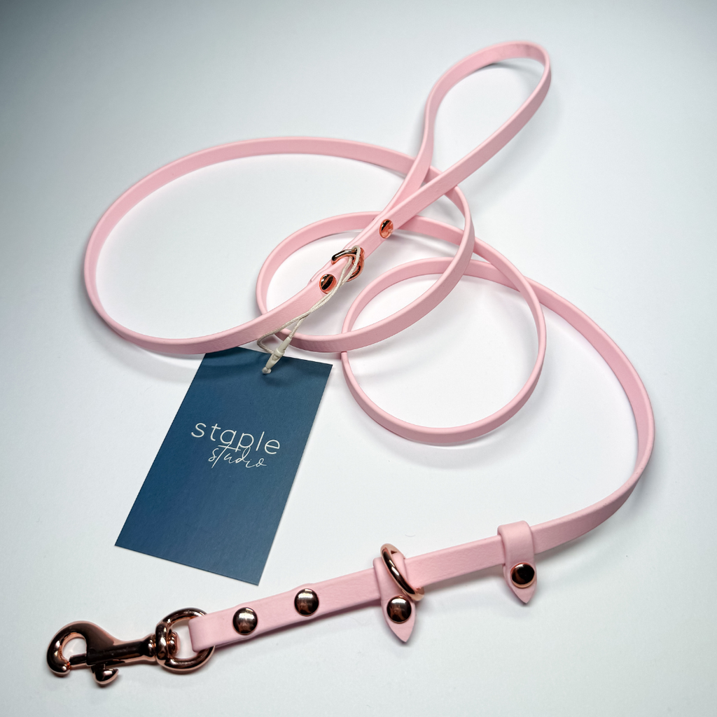 Explore | 1.5m Classic & Slip Leash (Grab & Go)