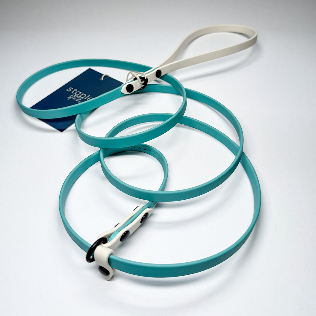 Journey | 1.8m Fixed Slip Leash (Grab & Go)