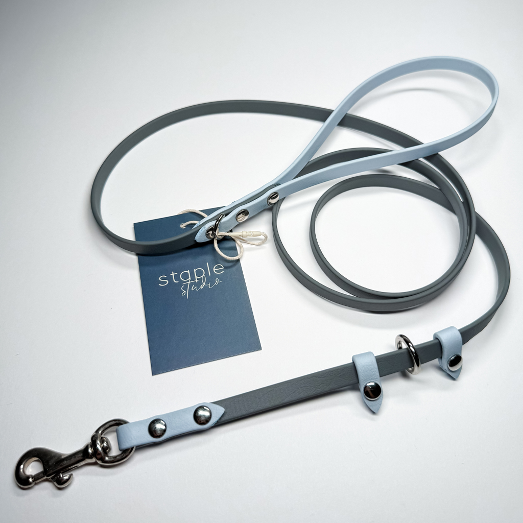 Explore | 1.5m Classic & Slip Leash (Grab & Go)