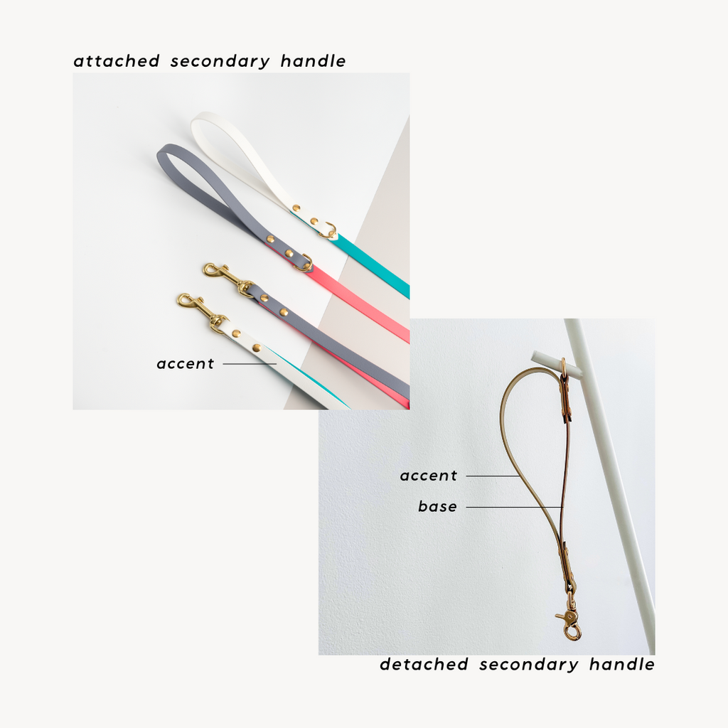 Everyday | Hands-Free Leash