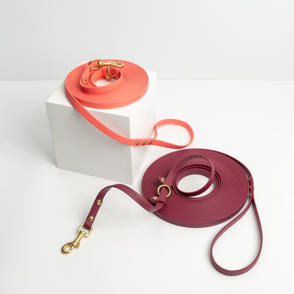 Training Leash (300cm with Handle)