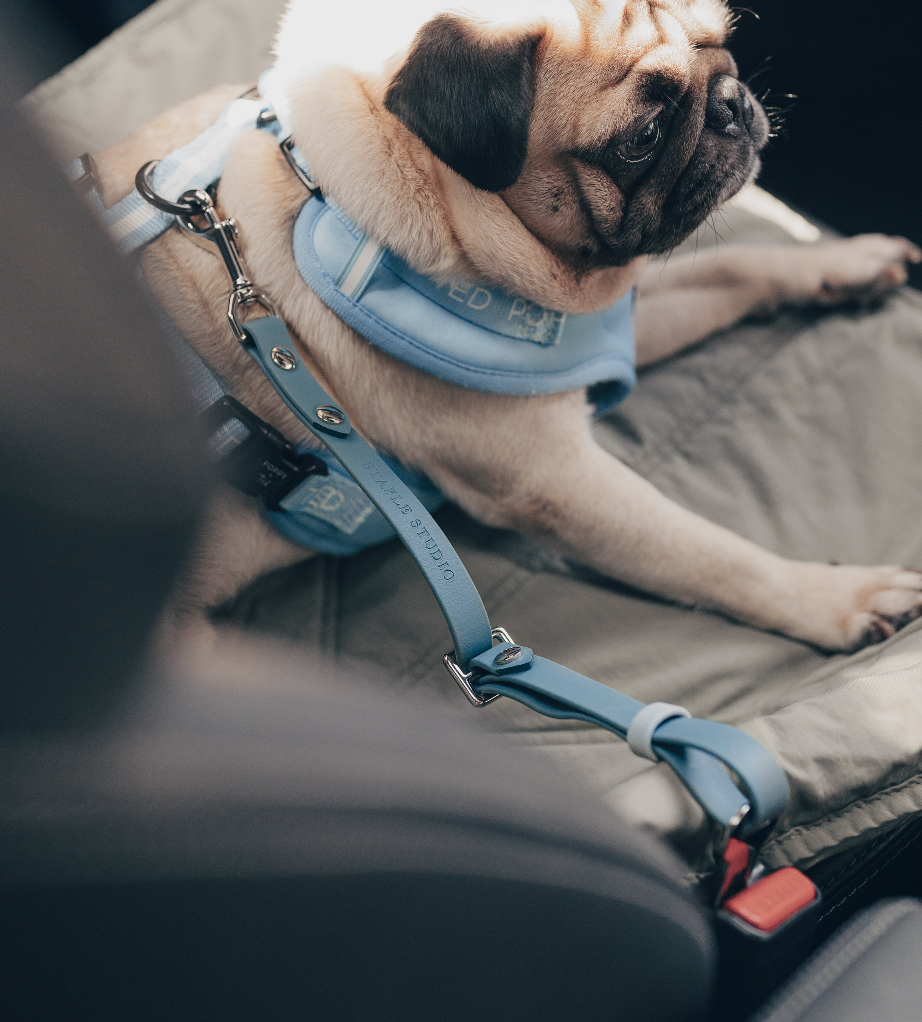 Voyage | Seat Belt Connector