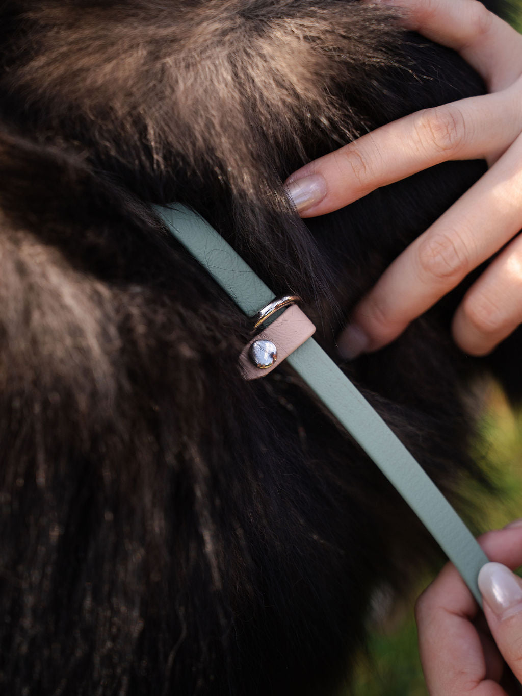 Adjustable stopper on a BioThane fixed slip leash for a secure fit