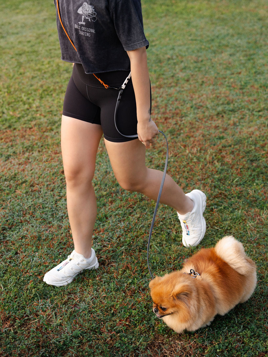 Flexi | Hands-Free Leash